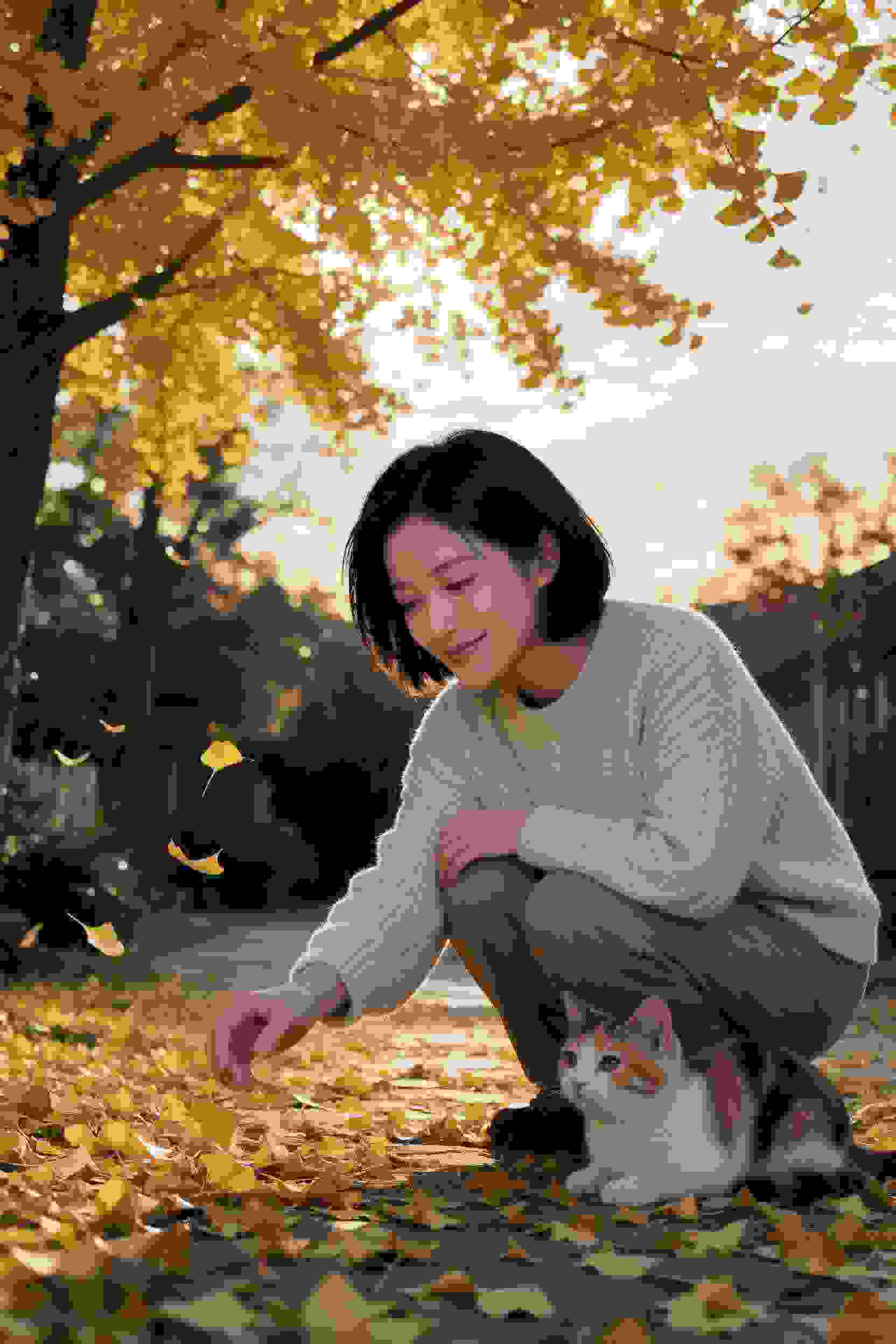 双修传奇